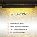 LUMENGY LED Hardscape Lighting Low Voltage Steps Paver Lights Wall Lights Planters 10